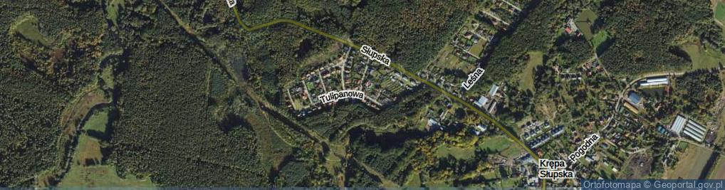 Zdjęcie satelitarne Tulipanowa ul.